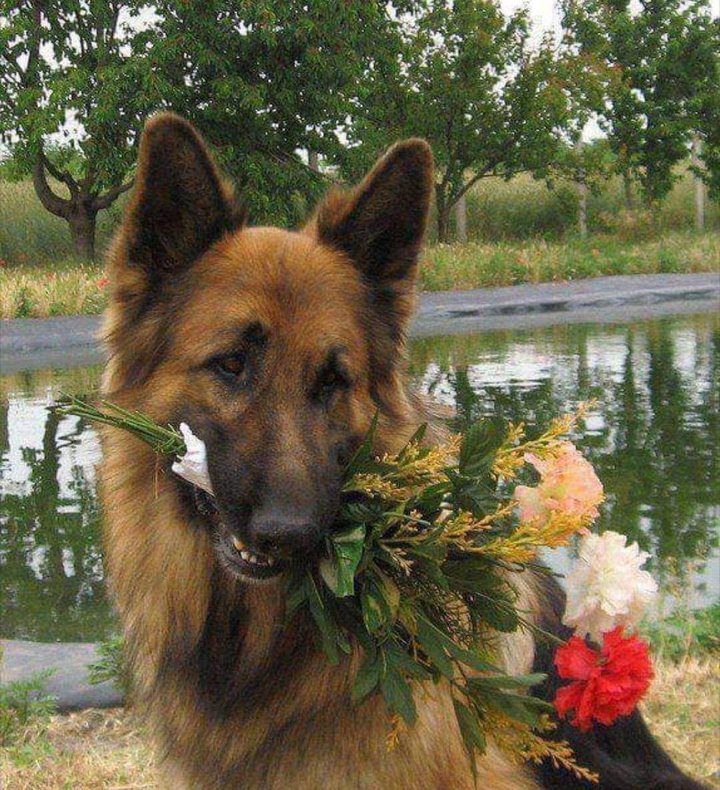Alles gute zum Geburtstag Wolfgang❤