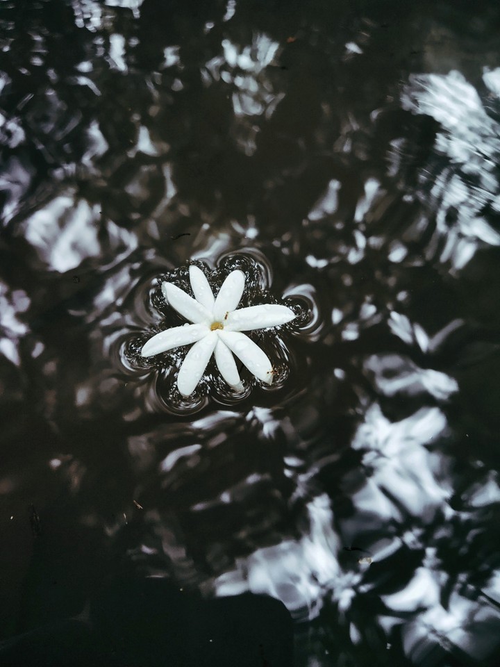 let your life float