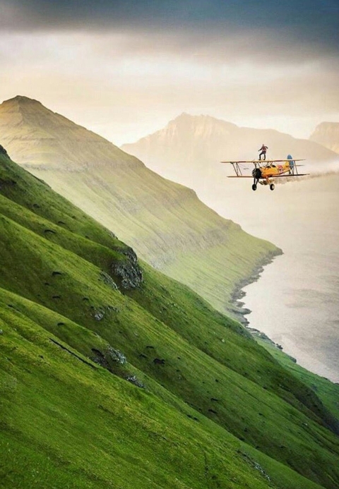 Plane Nature.