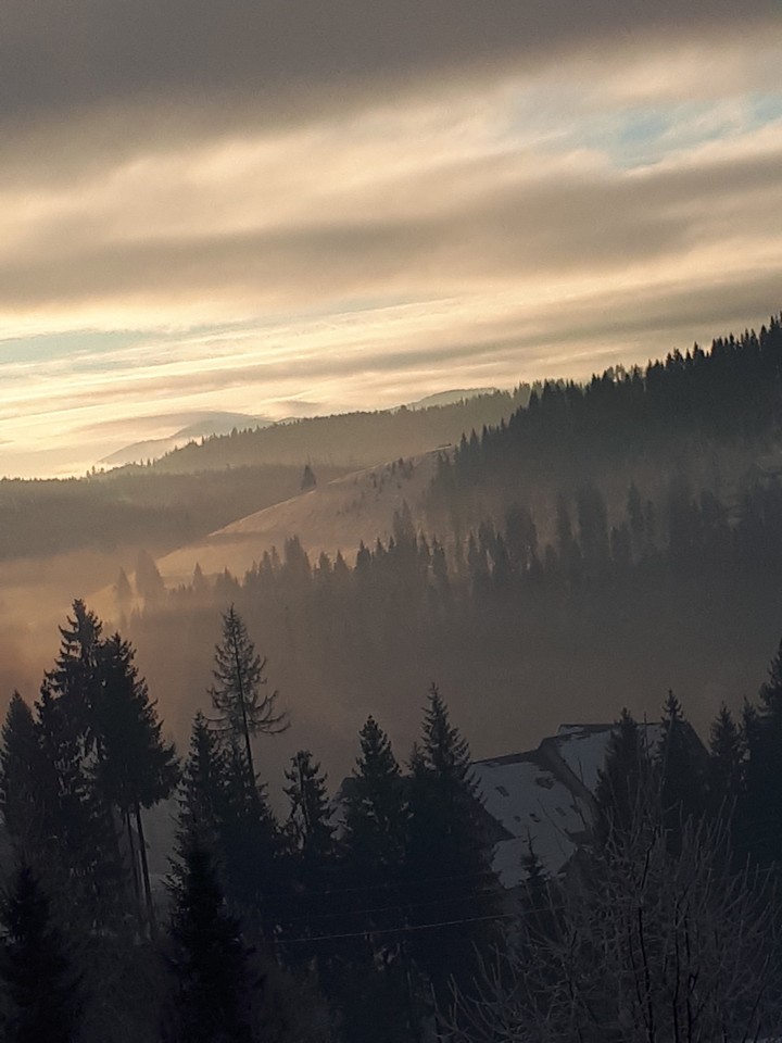 Mountains and forests is life. Keep our lives.
