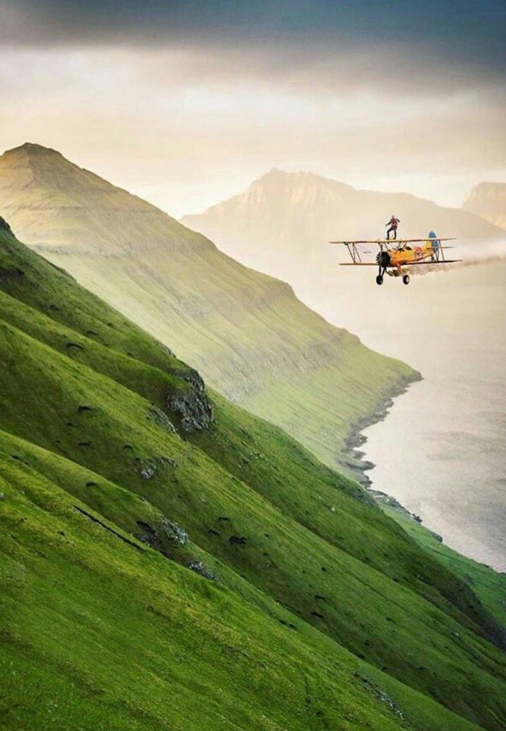 Plane Nature.