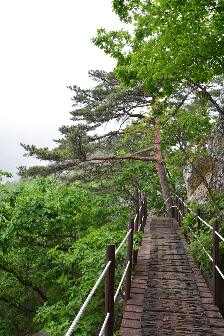 용문산이미지