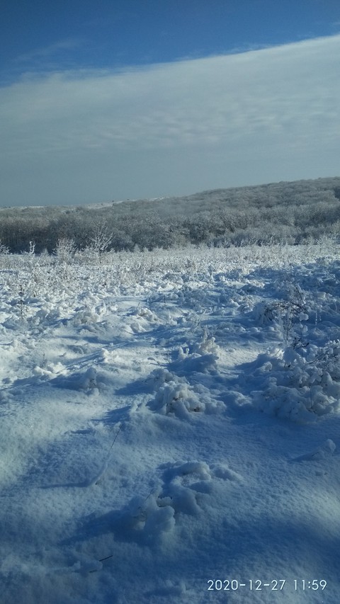 winter