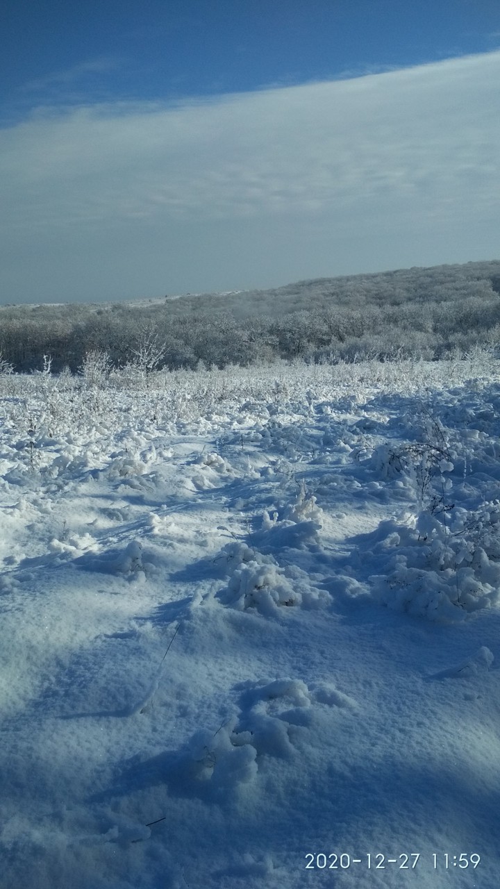 winter