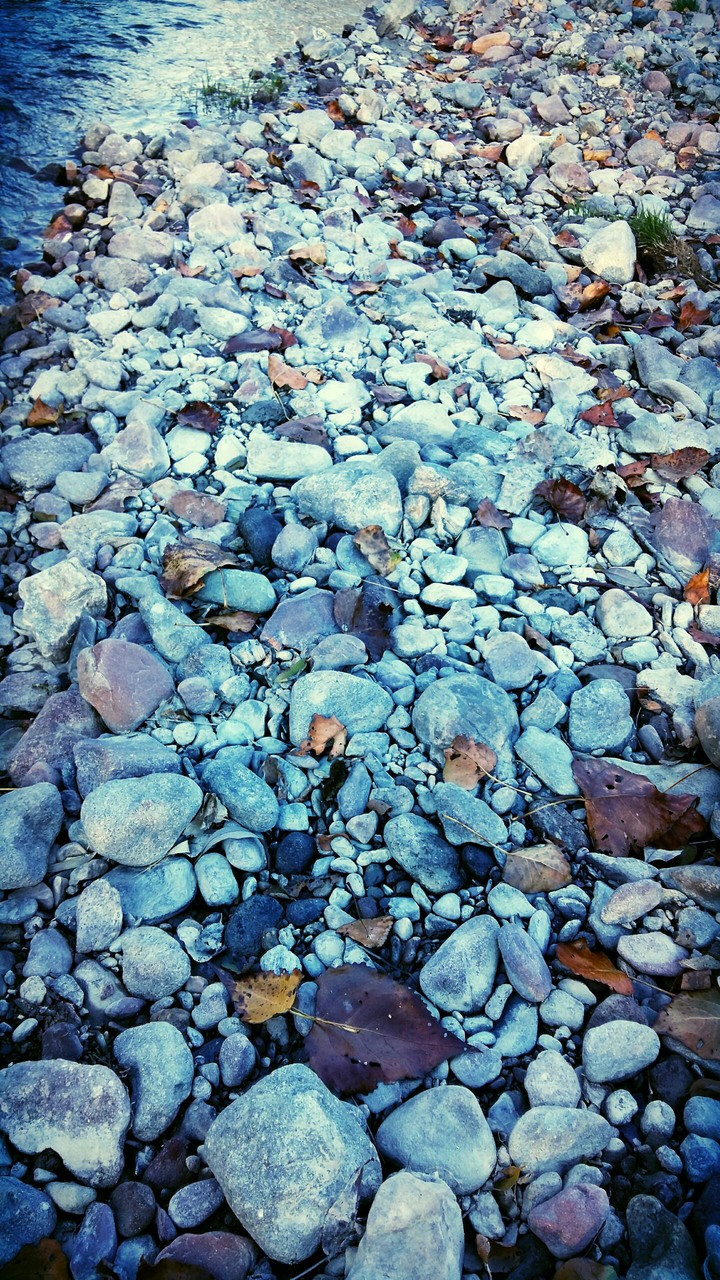 Stones and leaves