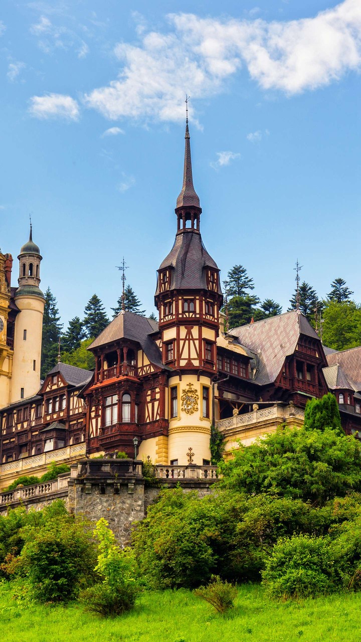 Castle