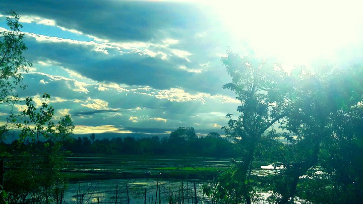 nature life