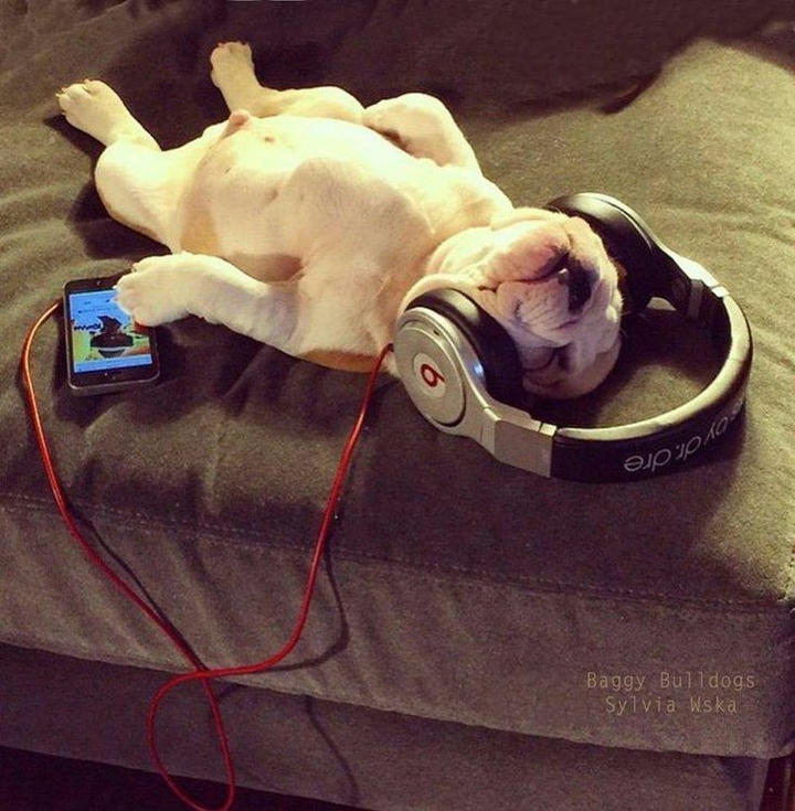 Jamming