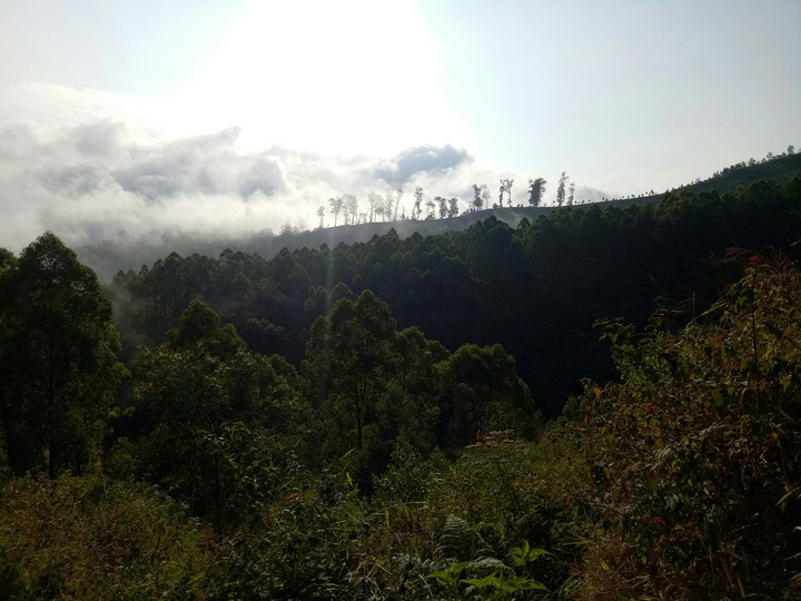 gunung arjuno