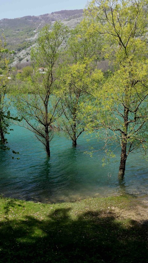 enjoy the silence