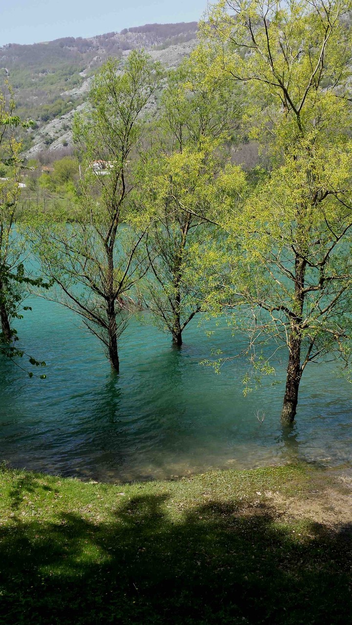 enjoy the silence
