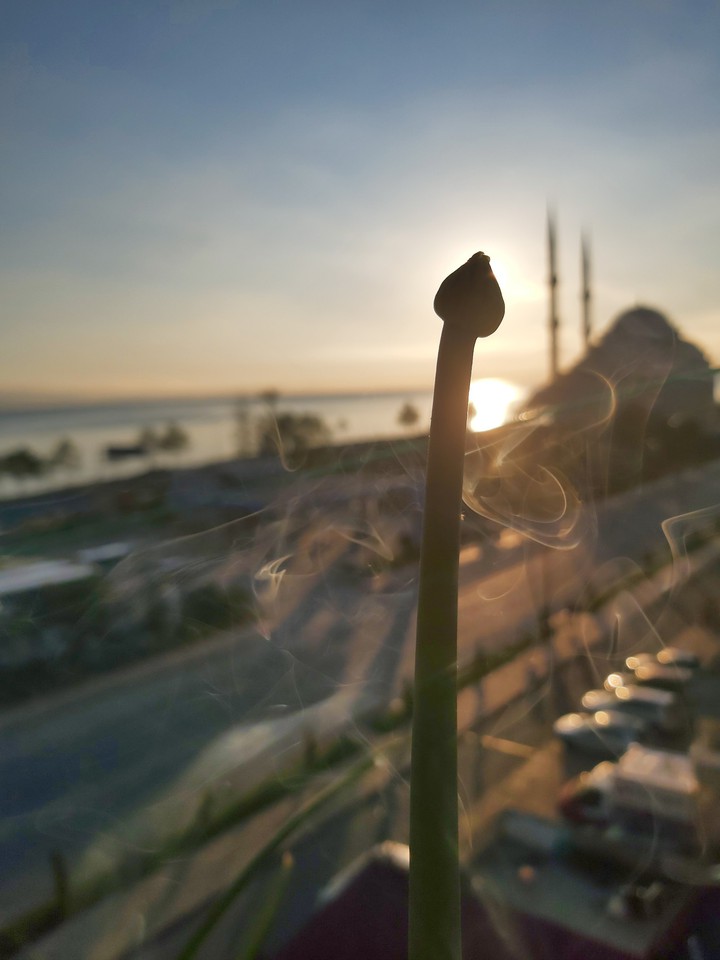 sunshine & onion