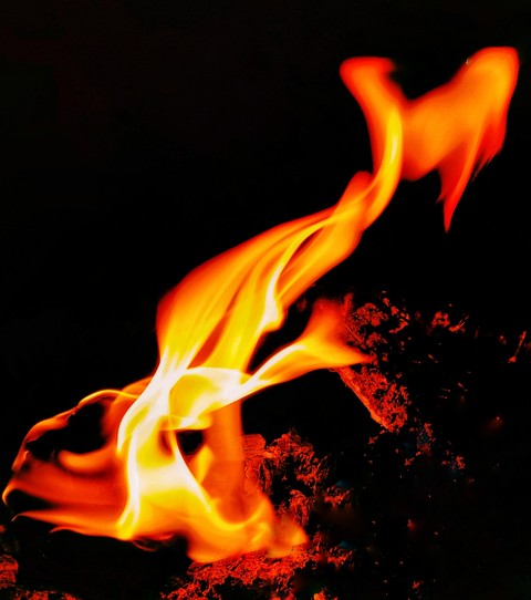 Bonefire
