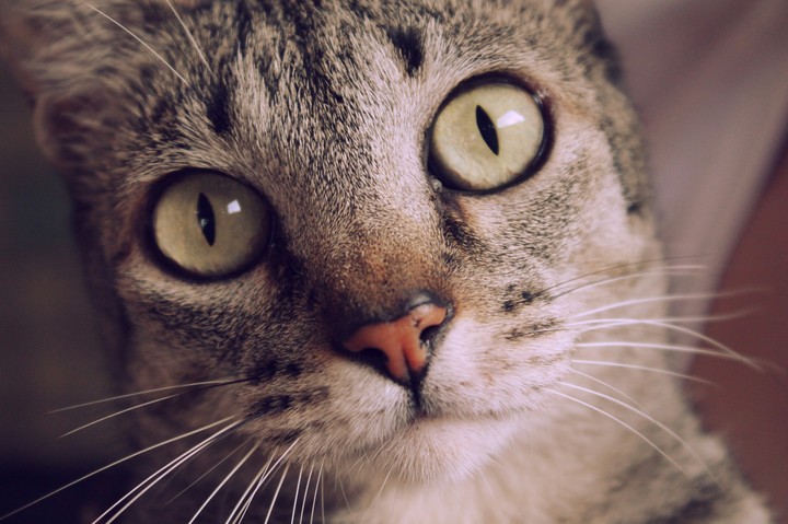 ket