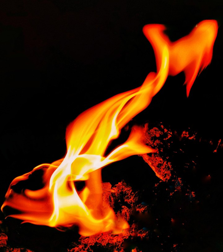 Bonefire