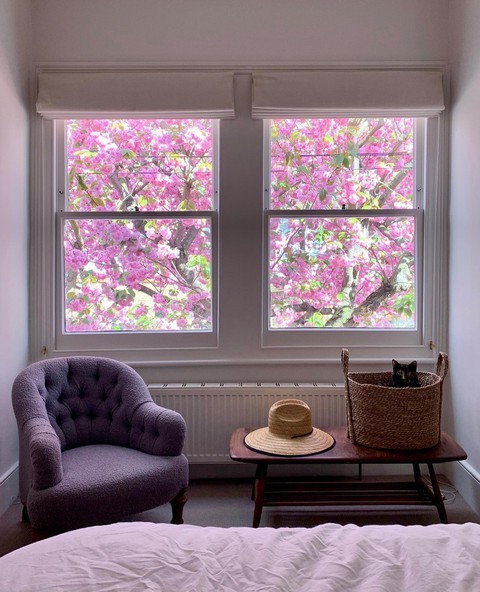 window, Blossom achtergronden