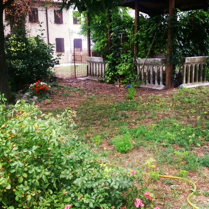 cortile di campagna.