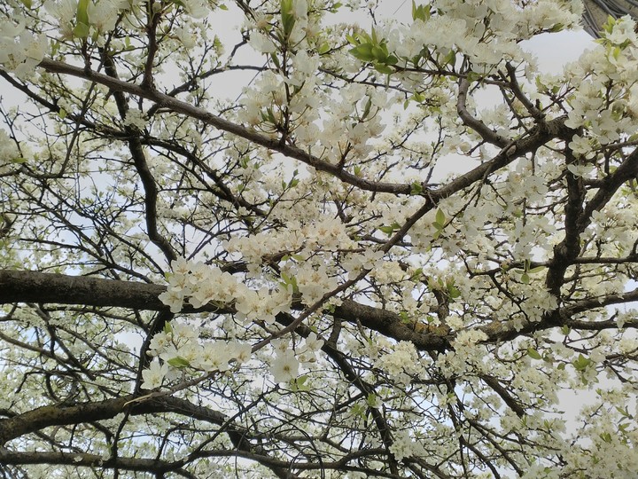 spring is here