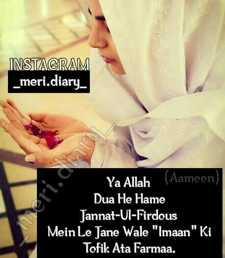 ♥♥♥امین♥♥♥