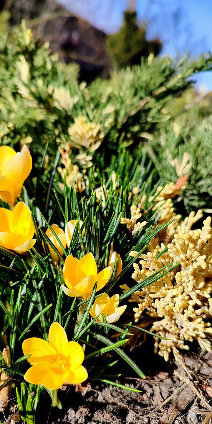 .
