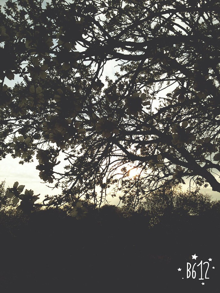 around the natural