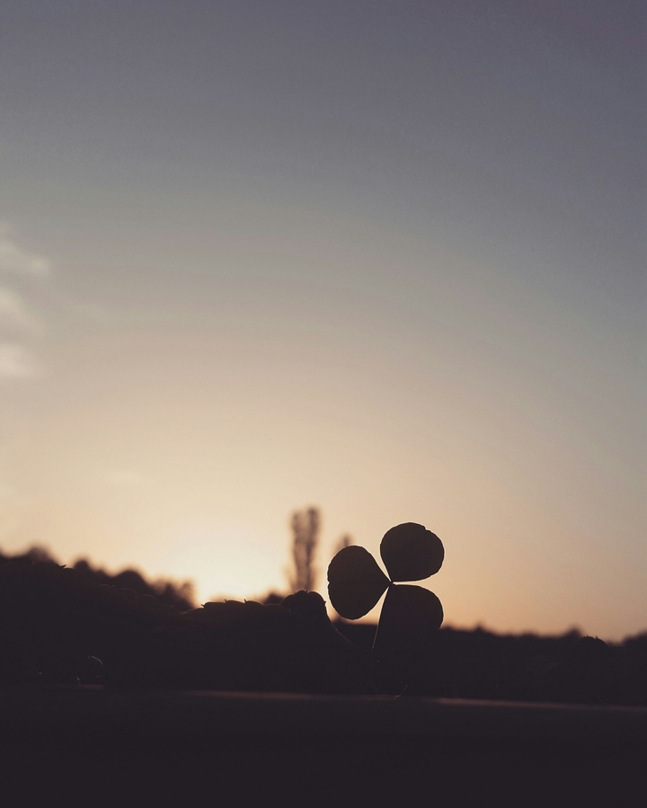Sunset Love
