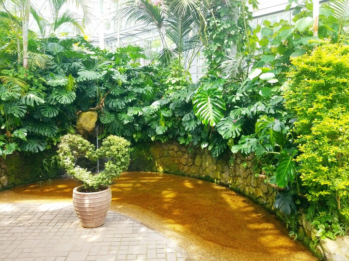 神戸ハーブ園