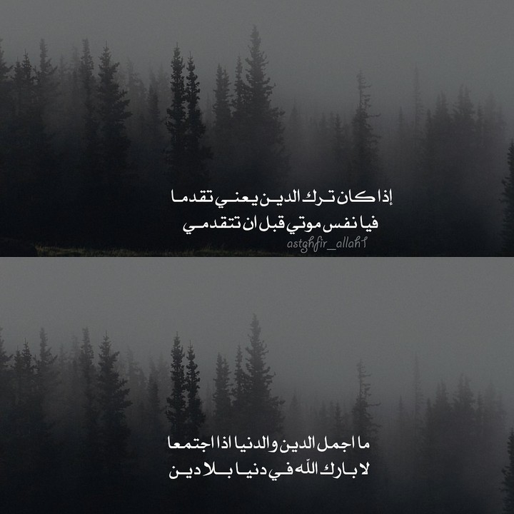 #رحيق_الورد