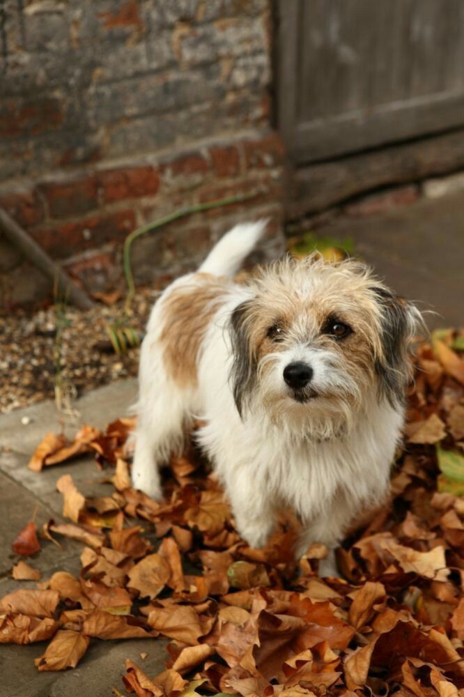 ฯ❤ฯ