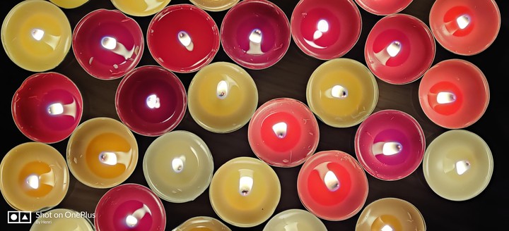 candle Pups