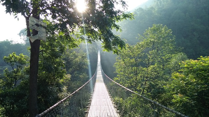 Bridge