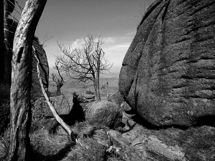 Rocks