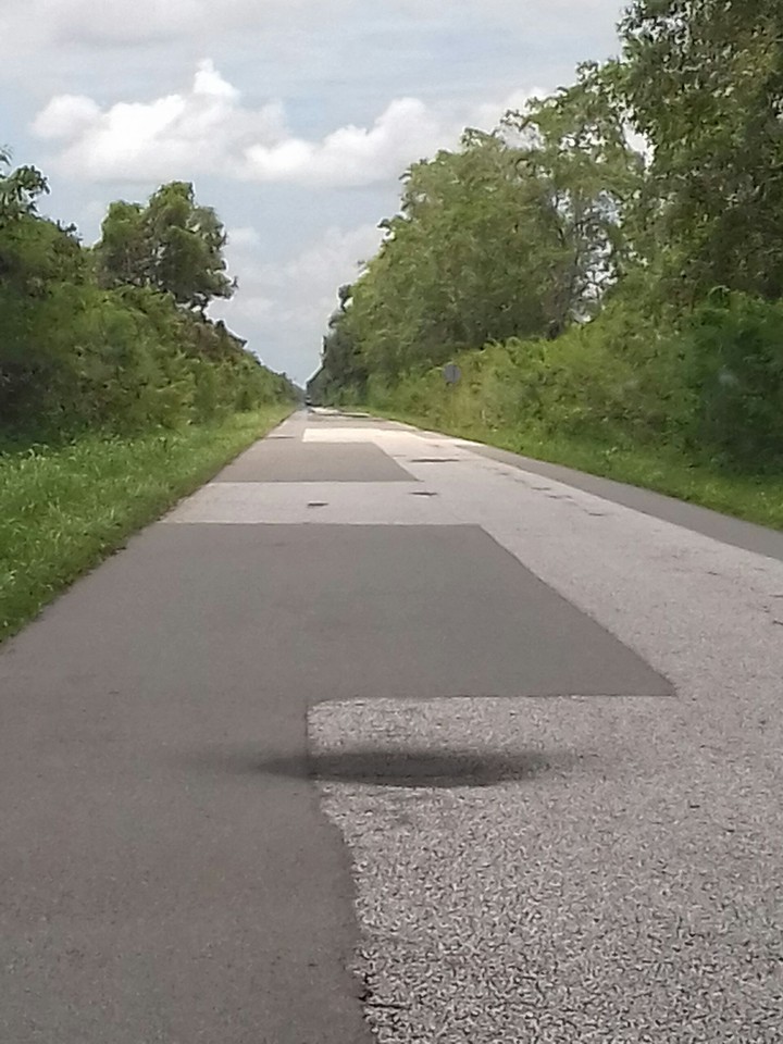 Road to Nickerie