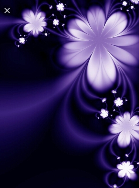 Violate flower