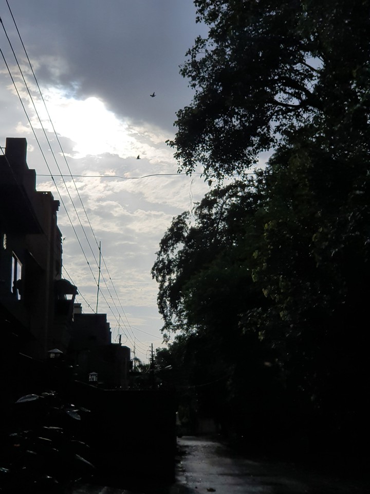 Aftet rain