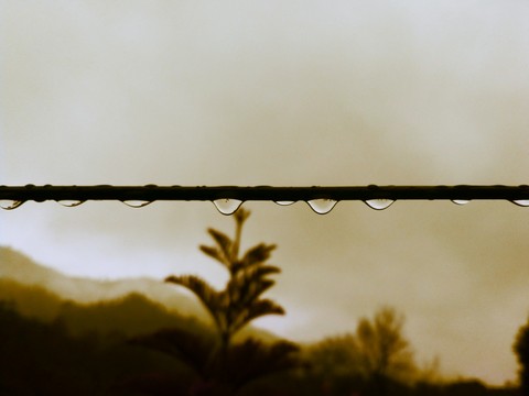 Raindrops
