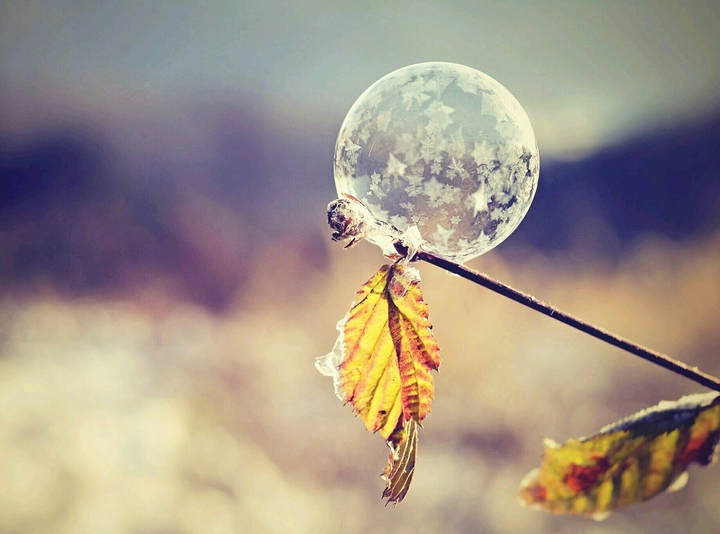 Frozen bubble