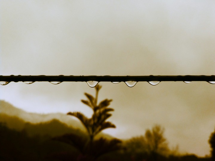 Raindrops
