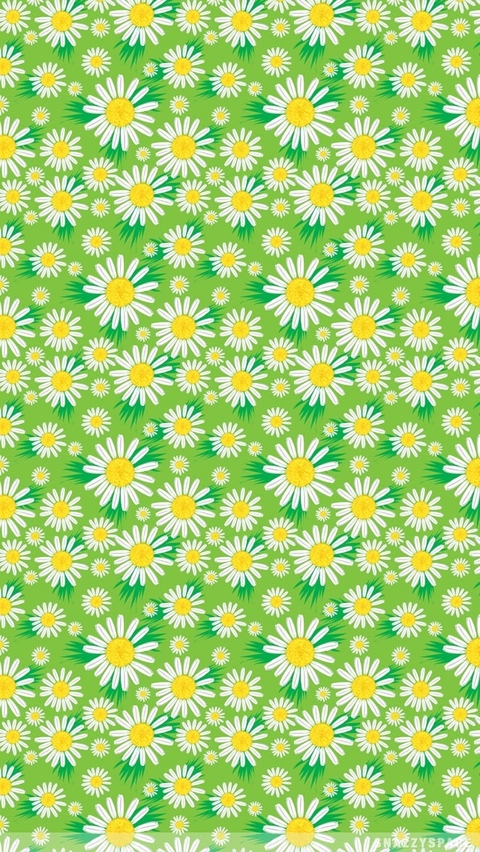 шпалери sunflowers, wildflower