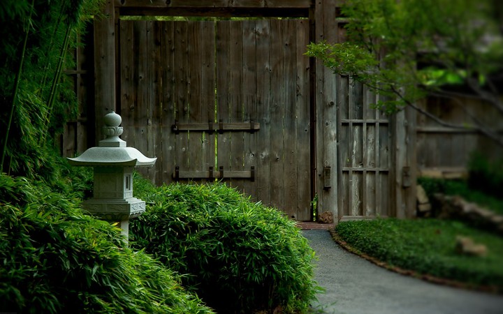 background 1