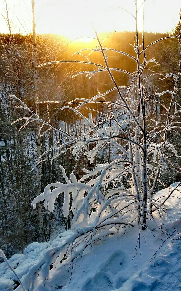 Karelia. Russia. no filter