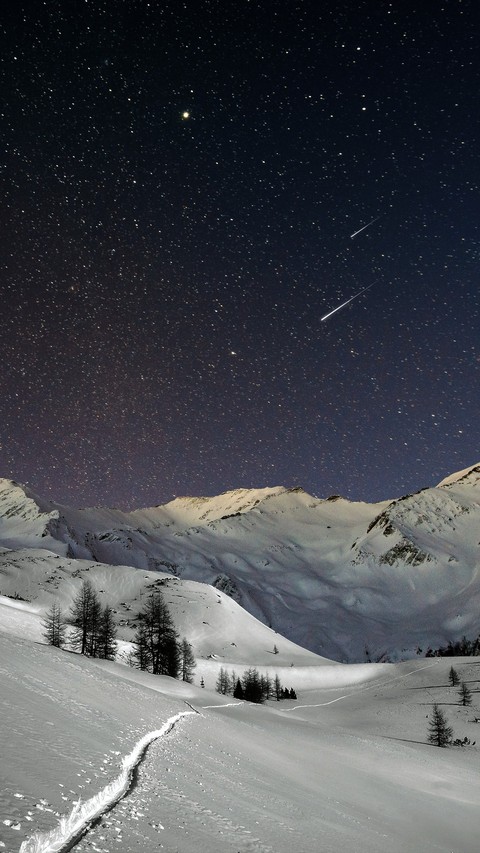 шпалери winter, night