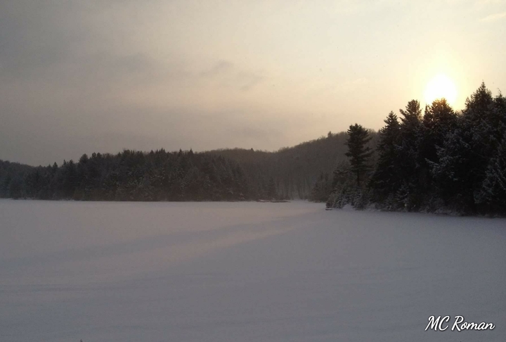 Frozen Sun