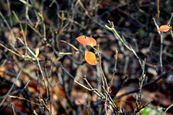 October