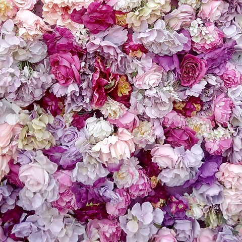 PINK flowers