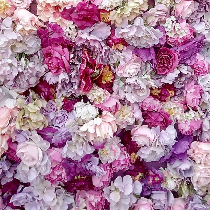 PINK flowers