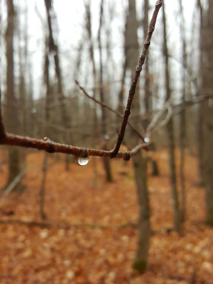 Fall Hike