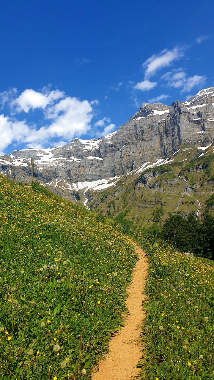 Landscape mountains