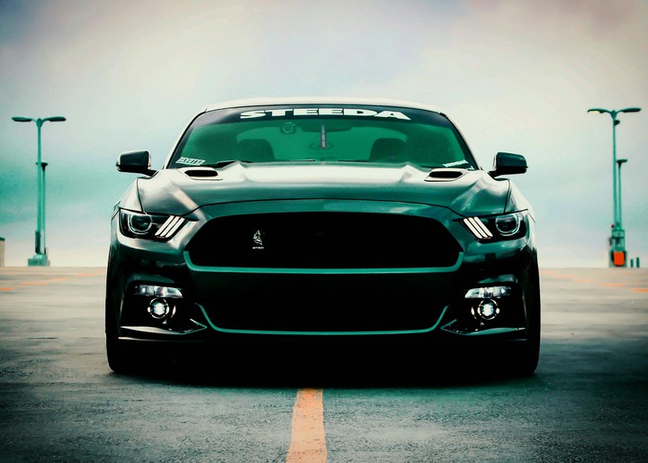 #teammustang