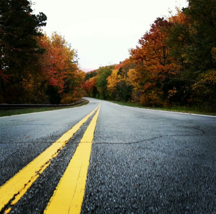 #road #TalimenaDrive #fall